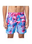 V21MSHA20_637_1-SHORTS-AGUA-FLAMINGOS