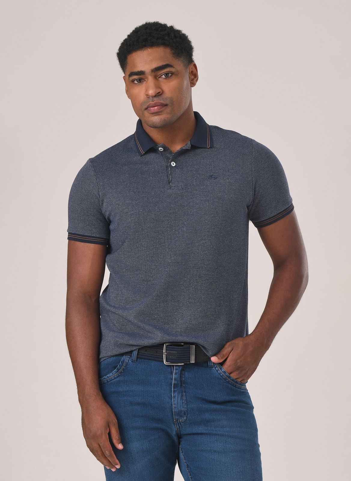 Polo Colmeia